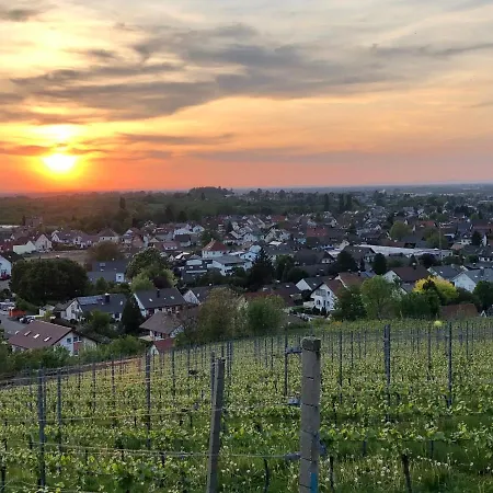 Linde Oberachern-2