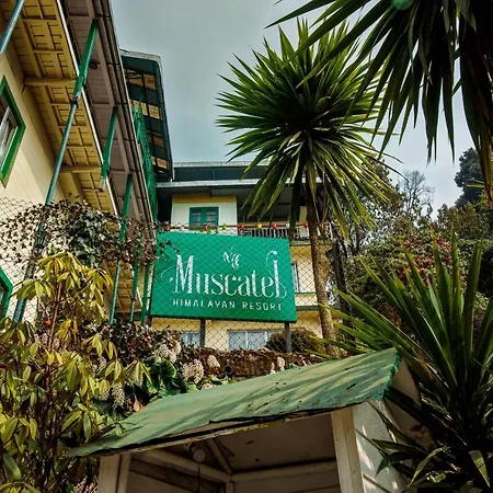 Muscatel Himalayan Resort - 400 Mts From Mall Road-2