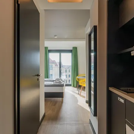 Homaris Kreuzberg 61-2