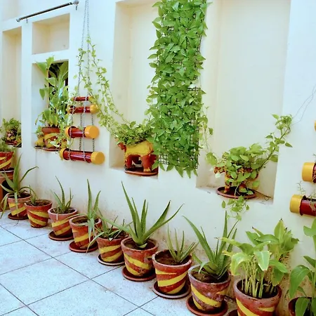 Vyas Haveli-3