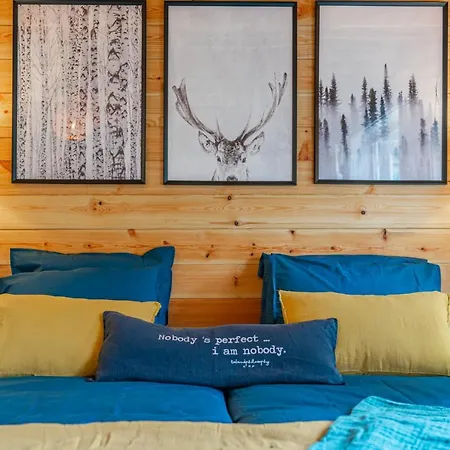 Hygge Lodge Annecy-2