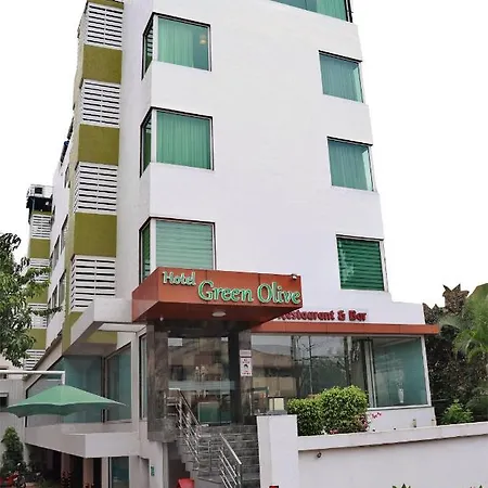Hotel Green Olive-2
