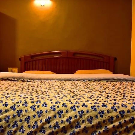 The Alpine Guest House-3