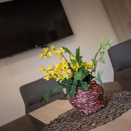 Mokka Apartman Szeged-2