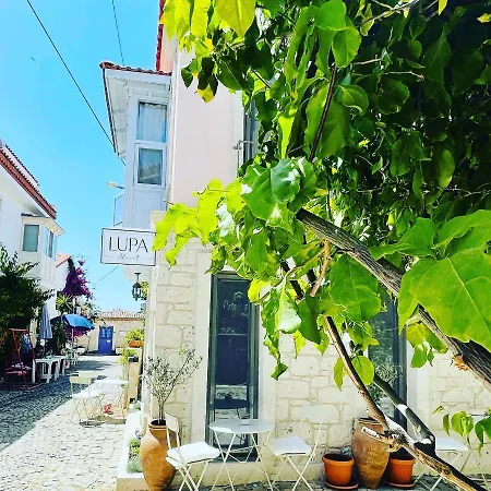 Lupa Alacati-2