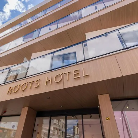 Roots Hotel-2