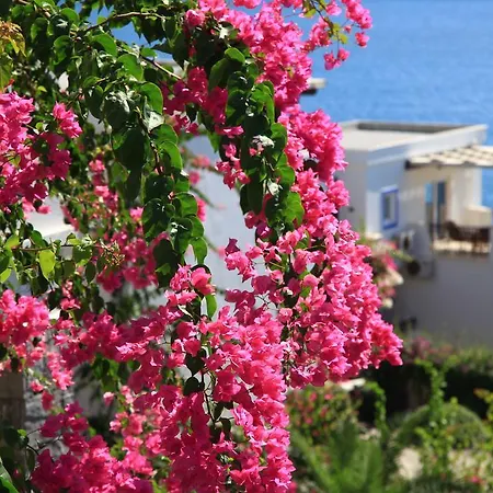 Aktur Residence-3