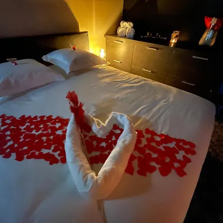 Octavie - Suite De Luxe A Tournai Avec Piscine Privee, Jacuzzi, Sauna Et Hammam-2