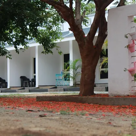 Vividearth Resorts Bandipur-2