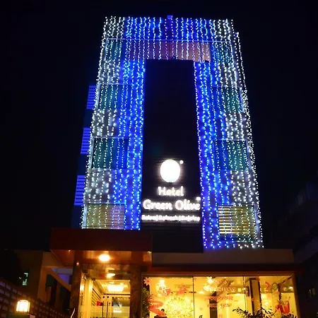 Hotel Green Olive-2