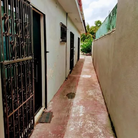Casa Ixchel - 700M To Downtown, Wifi, Hot Water, Ac-2