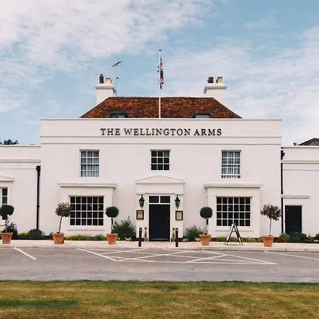 The Wellington Arms - Basingstoke-Reading-2