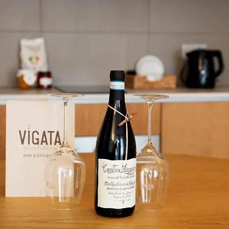 Vigata-2