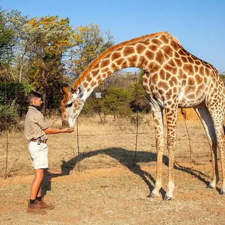 Sondela Nature Reserve & Spa Country House-3