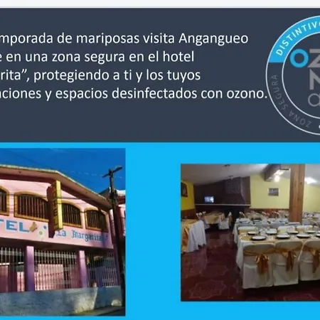 Hotel La Margarita-3
