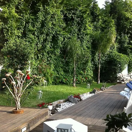Lemon Tree Hotel-3