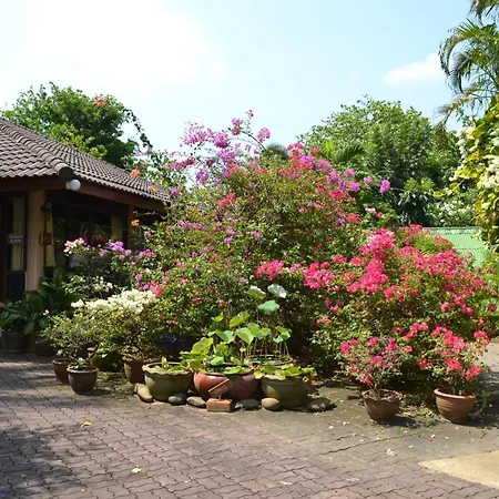 Phuket Golden Sand Inn - Sha Extra Plus-3