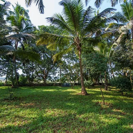 Rosastays South Goa-2
