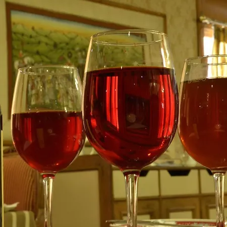 Hotel Jaipur Ashok-2