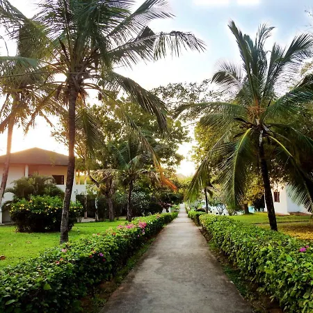Gecko Resort-2