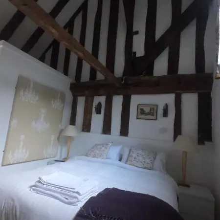 The George-3