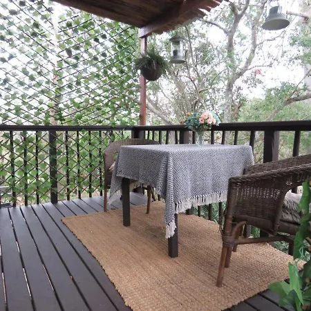 Nightjar Guest Lodge-2