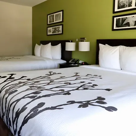 Sleep Inn & Suites Belmont - St. Clairsville-3