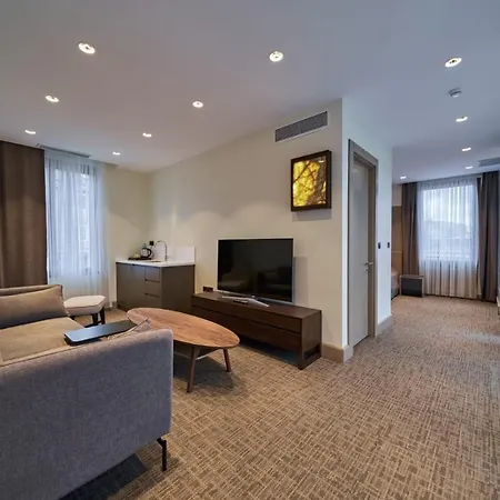Selini Hotel Istanbul Airport-2