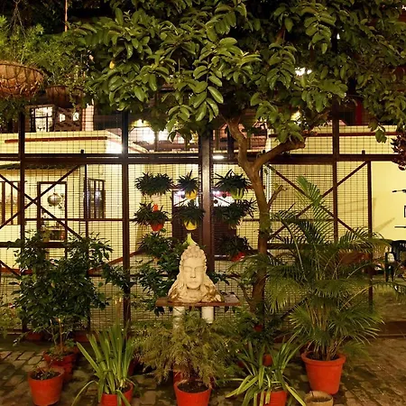 Patnimal Guesthouse-3