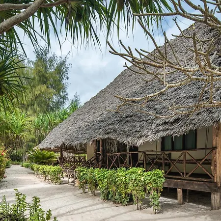 Hakuna Majiwe Beach Resort-2
