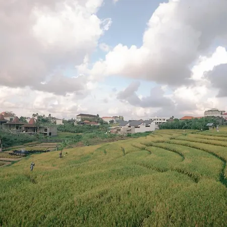 Musa Canggu-2