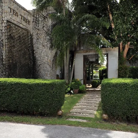 Tea Tree Boutique Resort-2