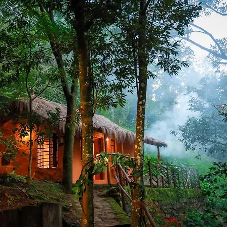 Golden Fern Resort-2