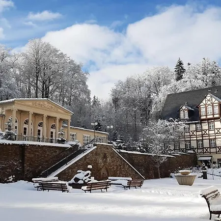Rehaklinik Thermalbad Wiesenbad-2