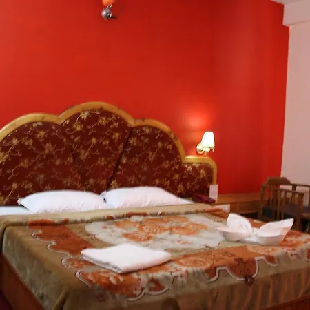 Hotel Ocean Blue Manali-2
