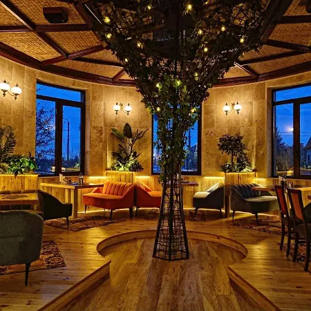 Hotel Coandi-3