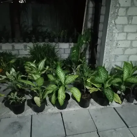 The Rose Garden House, Addu City, Maldives-3