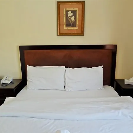 Dana Hotel - Baithans-2