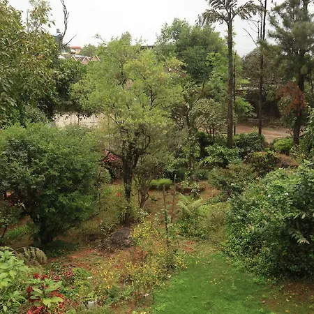 Forest Inn-2