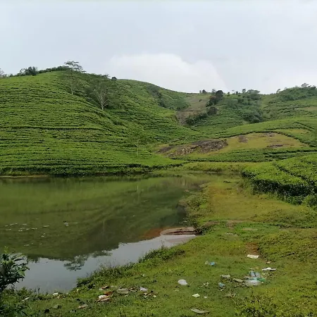 Mist Woods Vagamon-2
