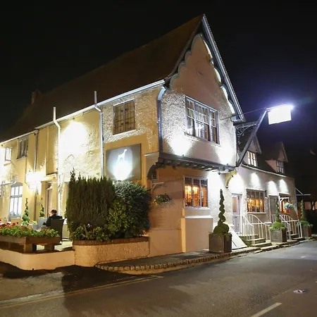 The Dog At Wingham-2
