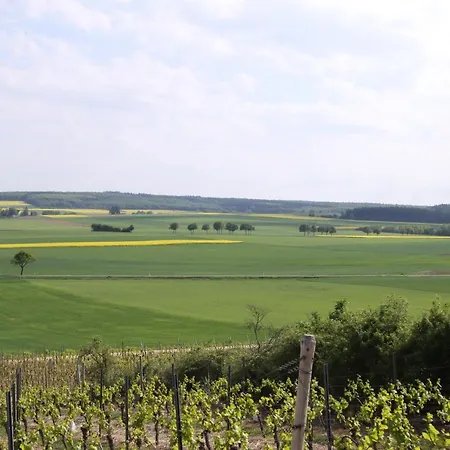 Landhotel&Weingut Espenhof-3