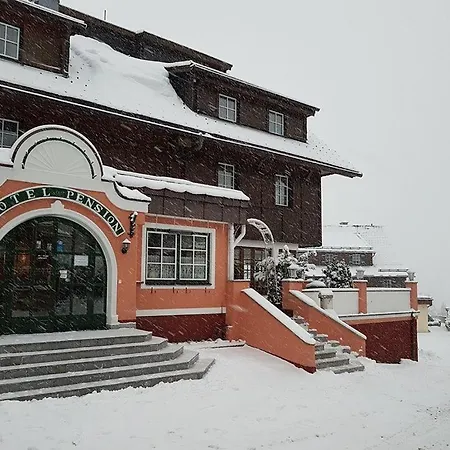 Hotel Tauplitzerhof-2