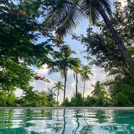 Bellevue Zanzibar-3