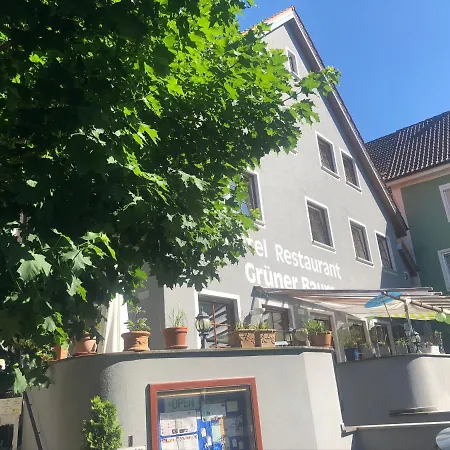 Hotel Restaurant Grüner Baum und Altes Tor-2