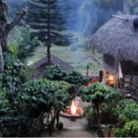 Coffee Inn-2