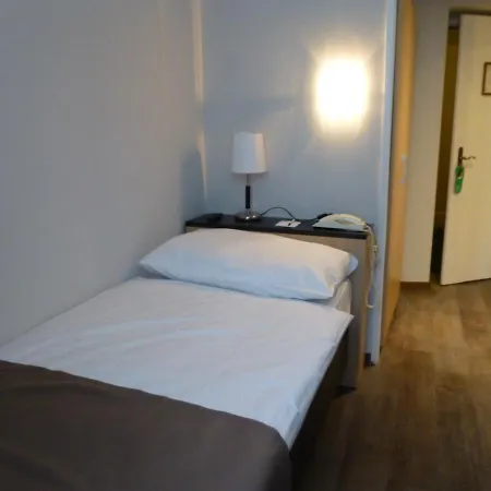 Hotel Des Alpes-2