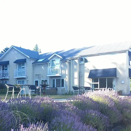 Lake Wanaka Lodge-2