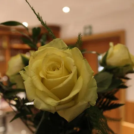 Hotel Albena - garni Hotel-3