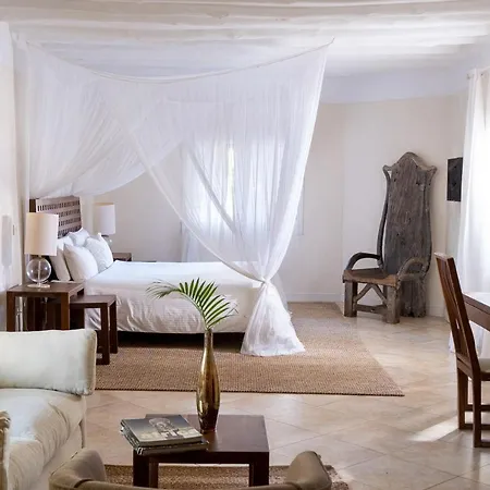 Lion In The Sun Boutique Hotel & Spa-3